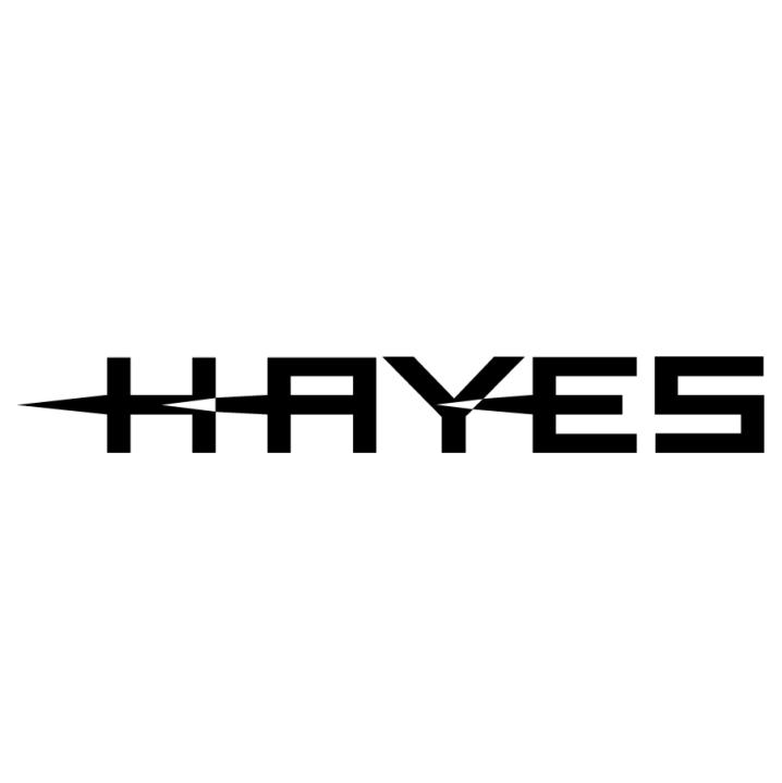 hayes bicycle