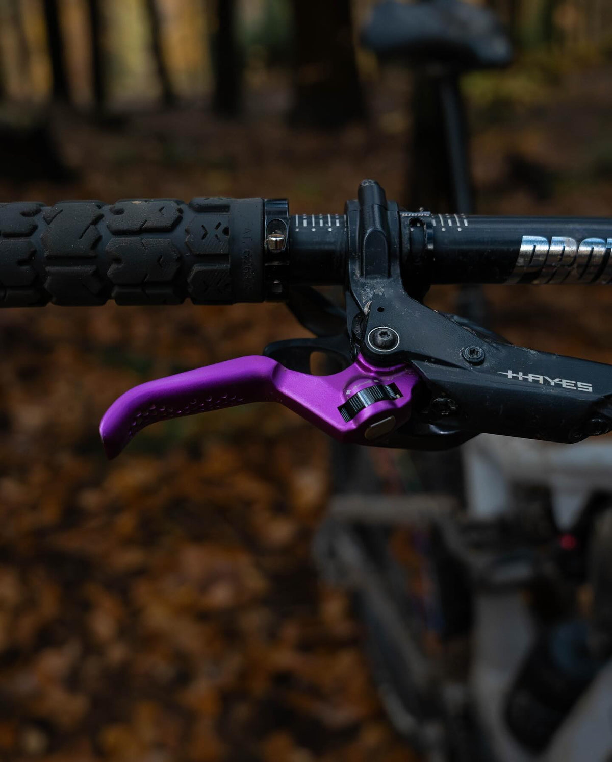 Purple Hayes Dominion Lever