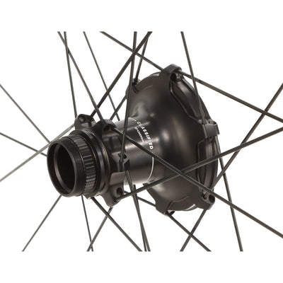 Blacklabel 46 LTD
