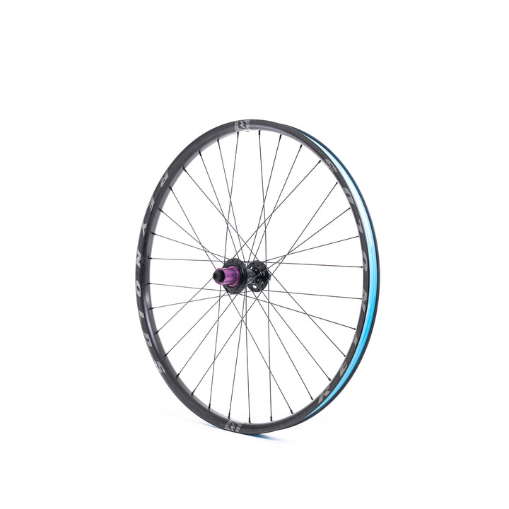 Blacklabel DH 307 Expert | Carbon MTB Wheels | Reynolds Cycling