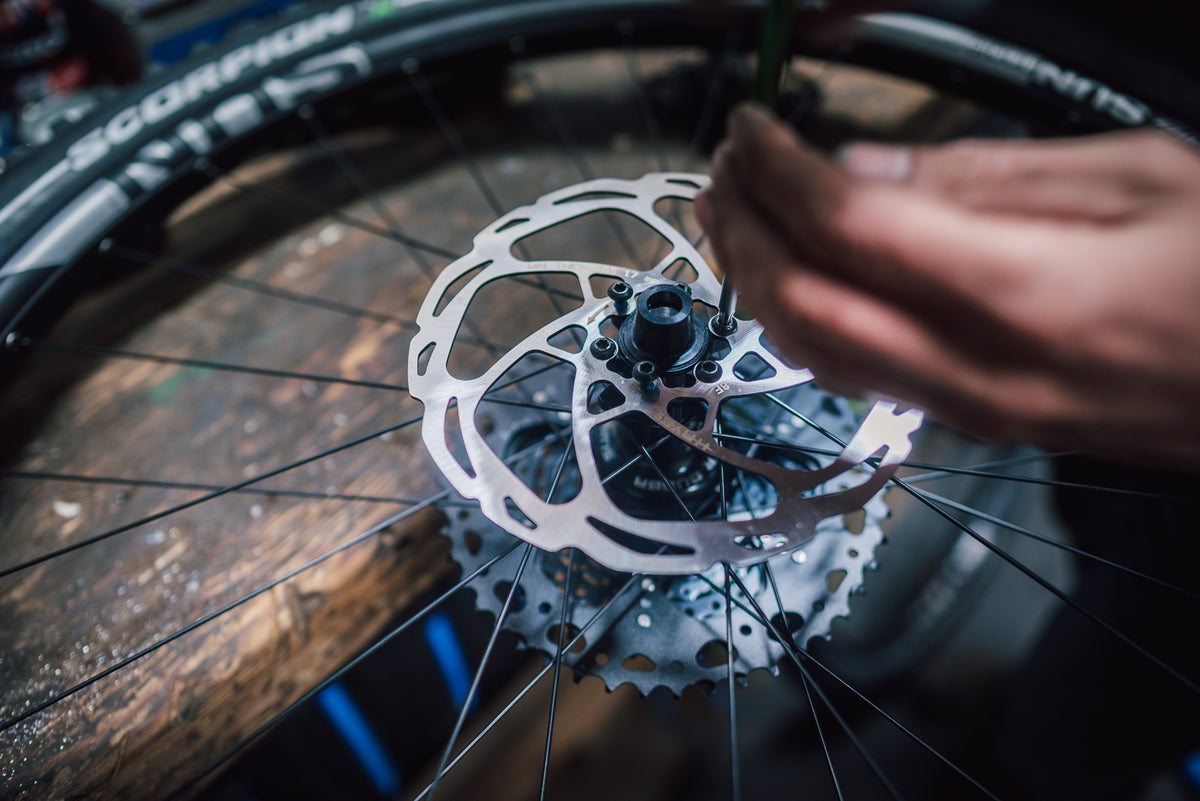 Hayes D-Series Rotors