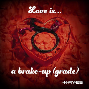 Purple Hayes love is a brake up-grade