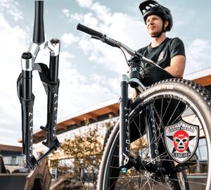 Panagua bikes hayes sale