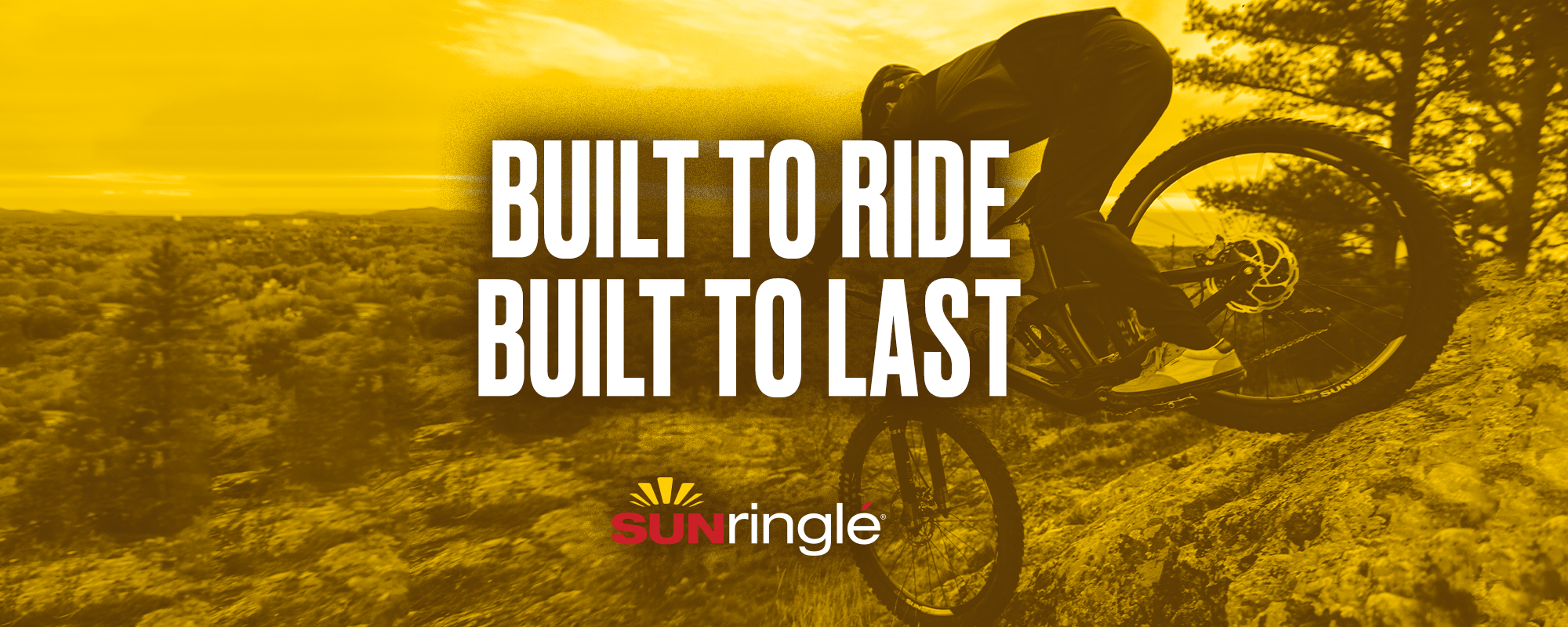SUNRinglé – Hayes Bicycle
